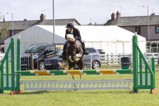 10730890_378320855668531_1312819853449599874_n