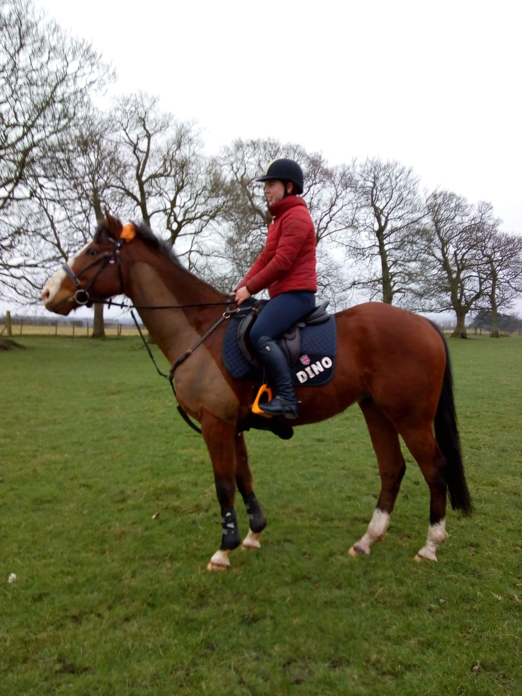 Riding Round Up: January and&nbsp;February