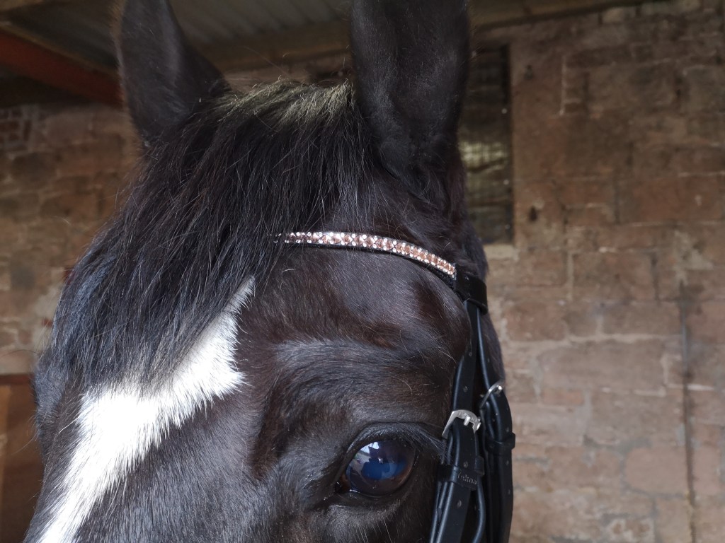 My Competition Must&nbsp;Haves