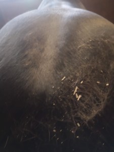 img_20190321_174904_1