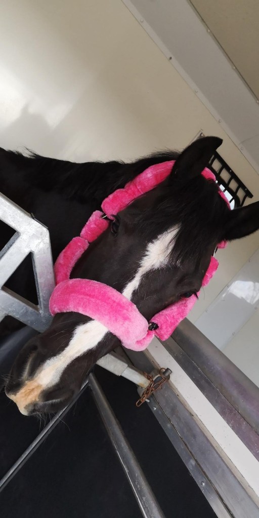 img_20190324_105449_162