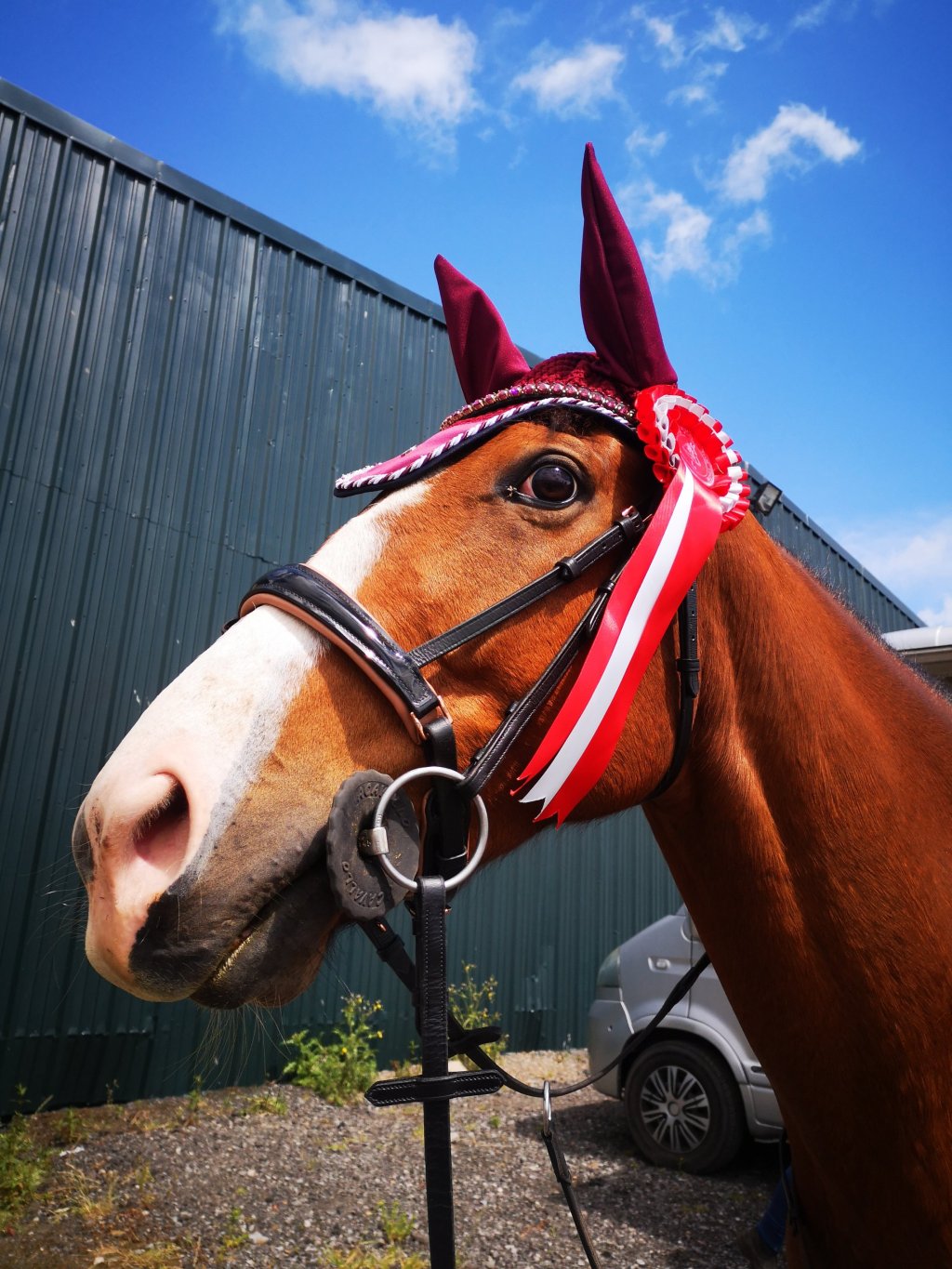 Riding Round Up:&nbsp;June