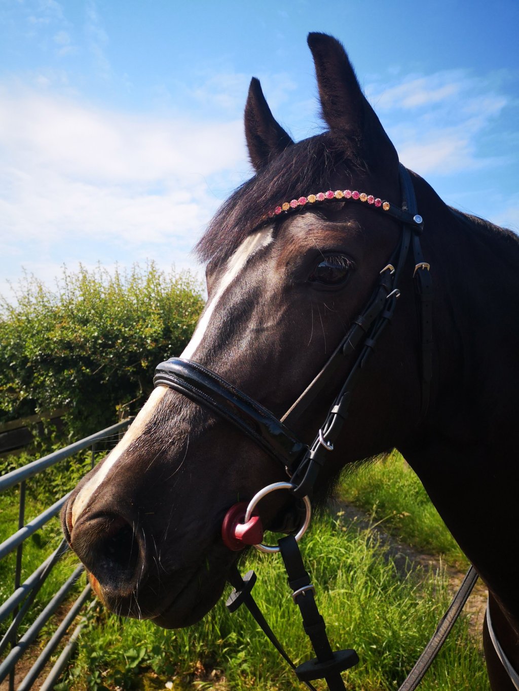 Tried and Tested: Limo&nbsp;Bit