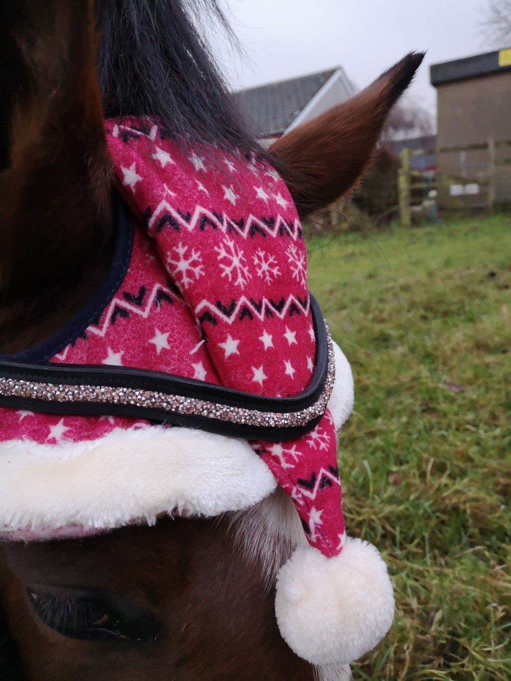 Equestrian Gift Guide 2019 for&nbsp;Kids