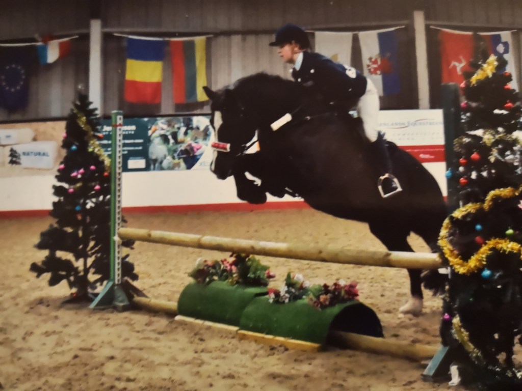 Equestrian Gift Guide 2019 For&nbsp;Horse/pony