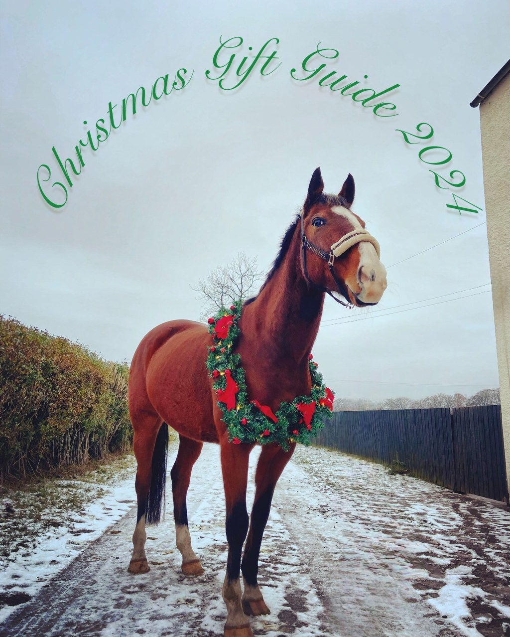 Equestrian Christmas Gift Guide&nbsp;2024